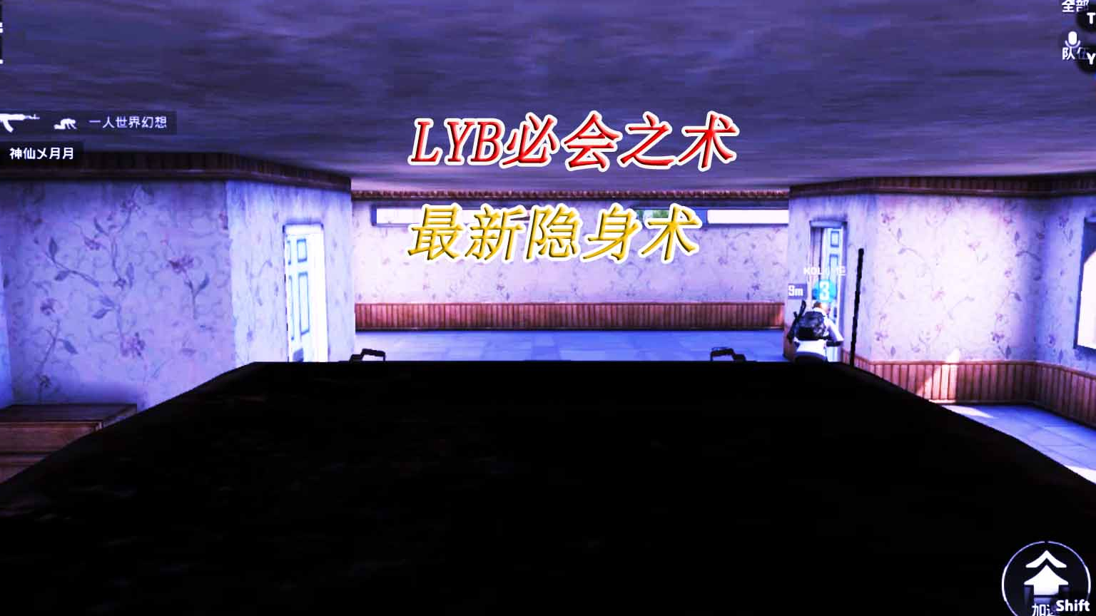 和平精英:LYB必会之术假车库隐身术,阴人苟分直接无敌